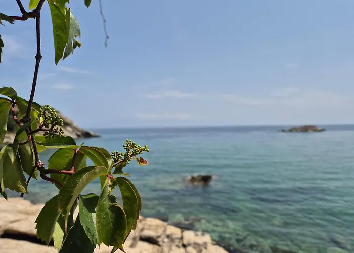 Daire Beach Apartment PalaiónTsiflíkion