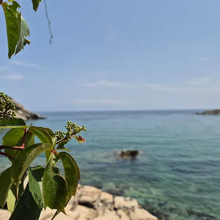 דירה Beach Apartment PalaiónTsiflíkion